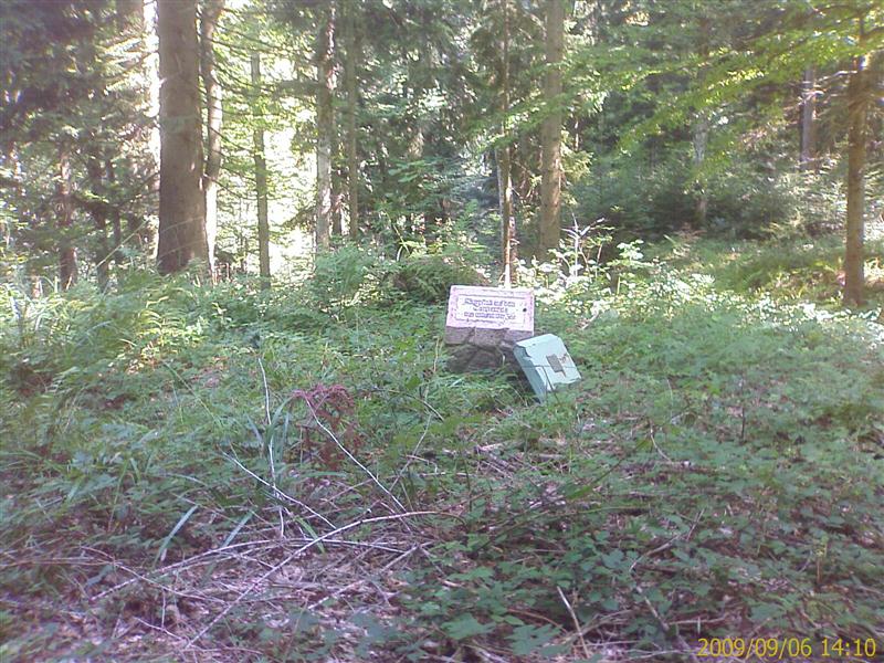 Burgstein versteckt im Wald